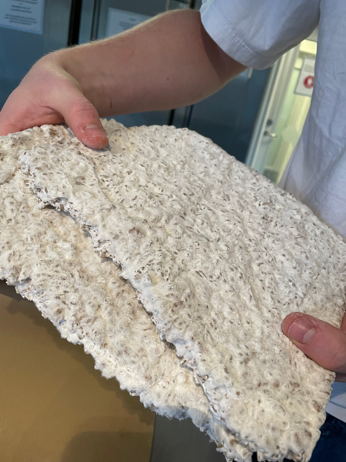 Fresh Koji